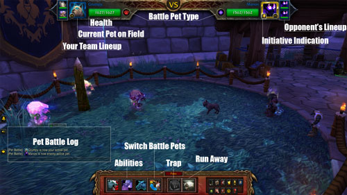 Pet-battle-layout